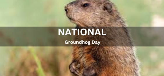 National Groundhog Day [राष्ट्रीय ग्राउंडहॉग दिवस]